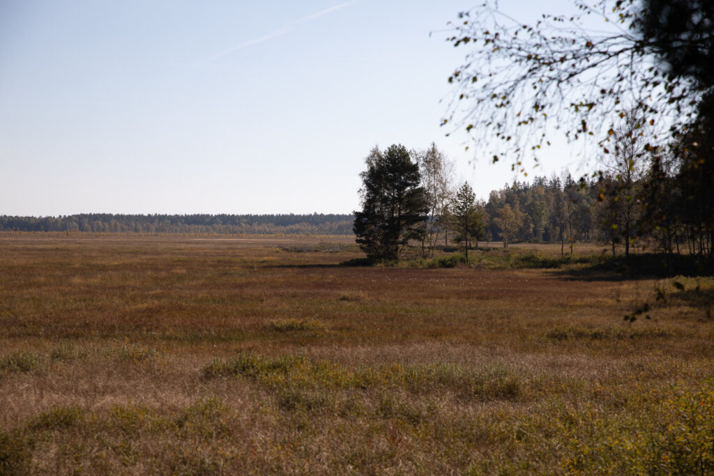 Store Mosse Nationalpark