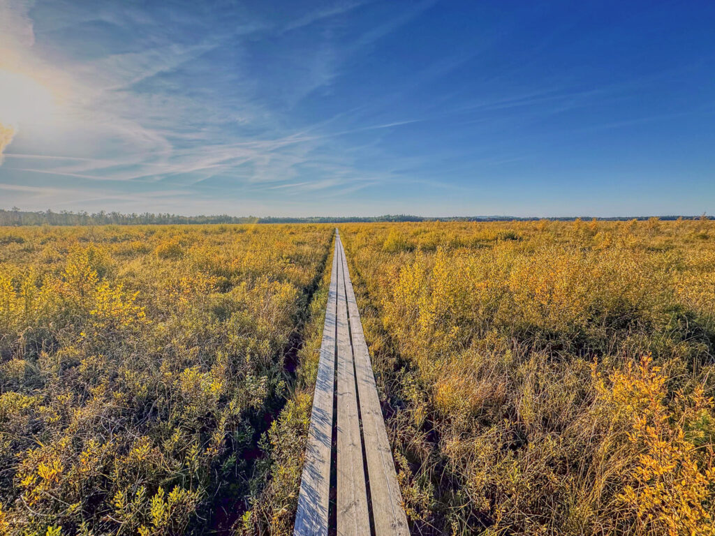 Store Mosse Nationalpark