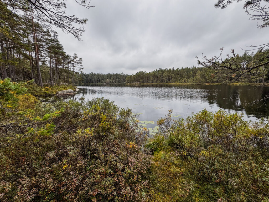 Kleiner See im Tivedens Nationalpark