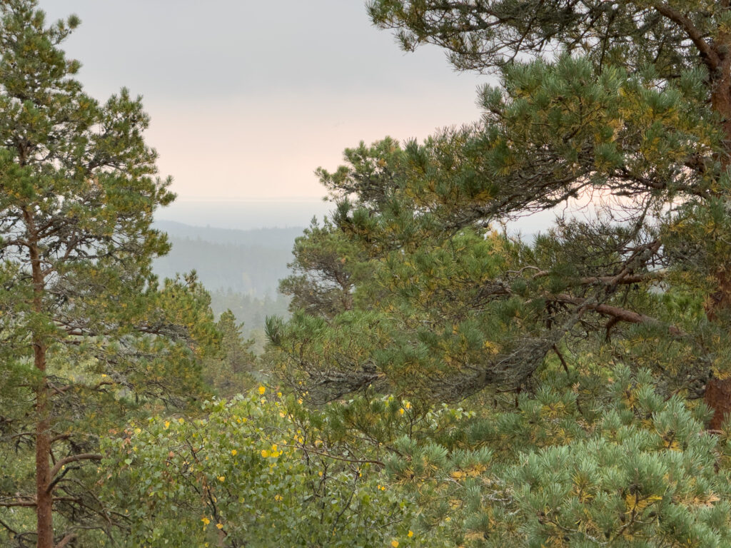 Ein kleiner Ausblick auf einer Wanderung durch den Tivedens Nationalpark - Kleine Trollkirche