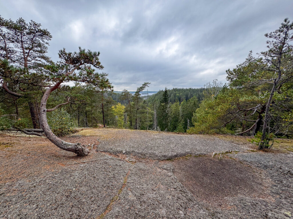 Oxaberget Ausblick im Tivedens Nationalpark