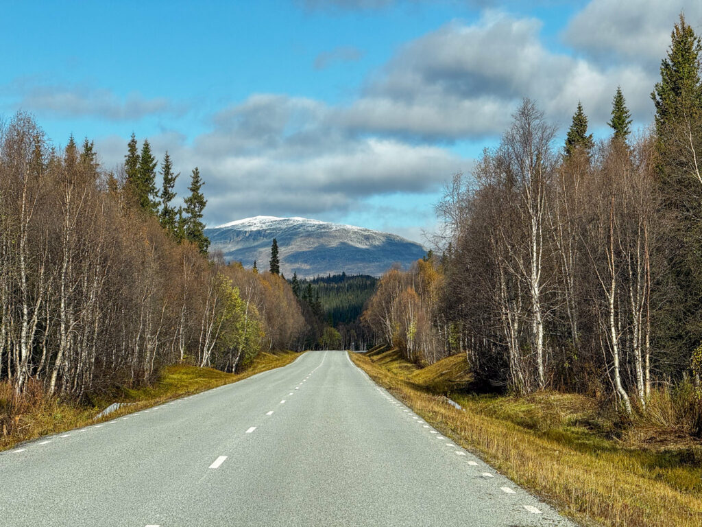 Vildmarksvägen