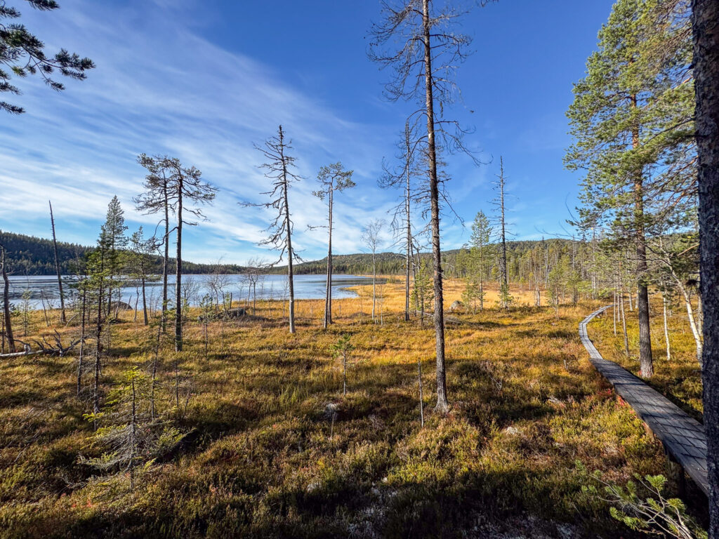 Rönnlandsrundan Björnlandets Nationalpark