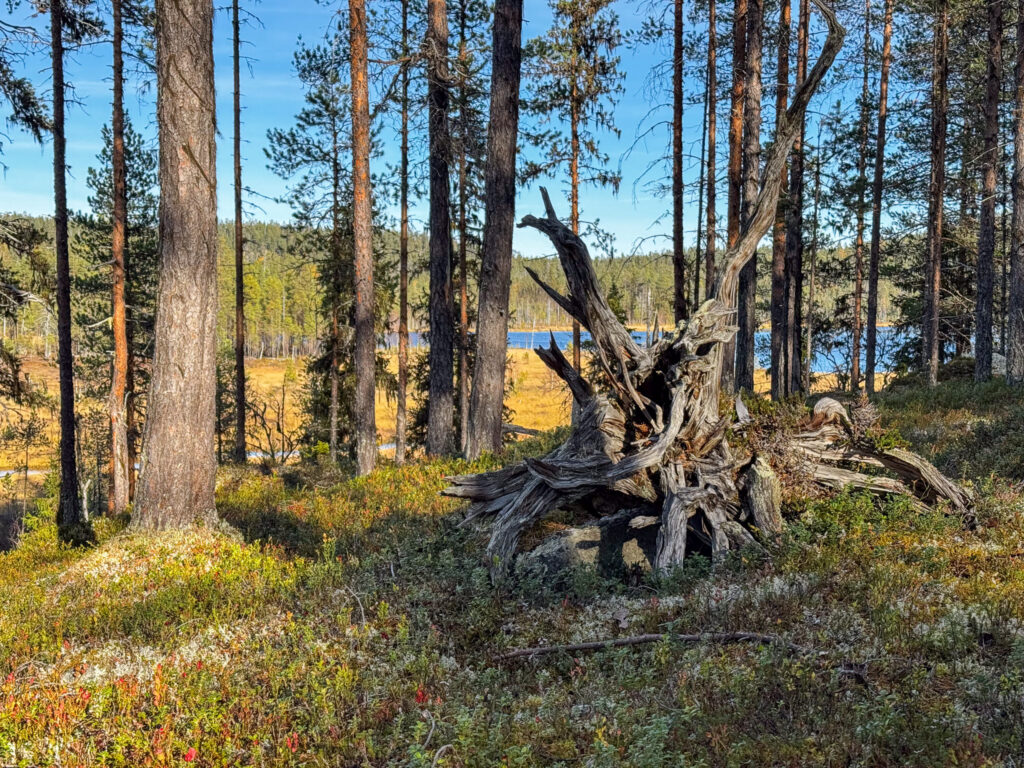 Abwechslungsreiche Wanderung