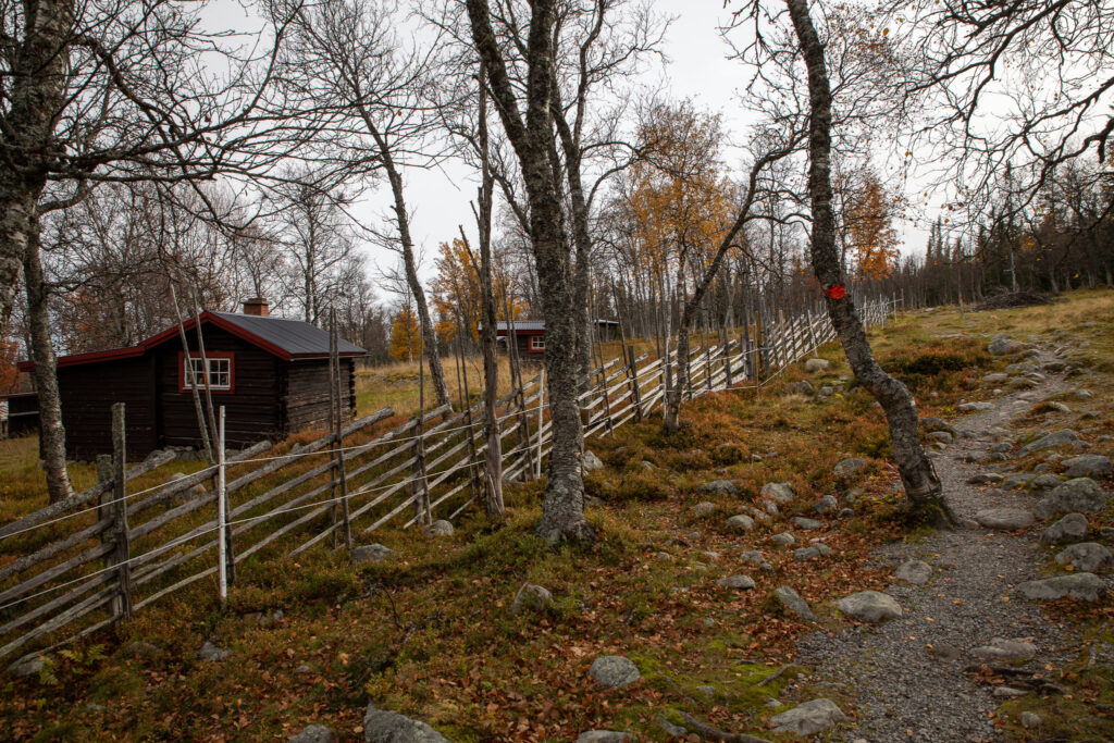 Nyvallen