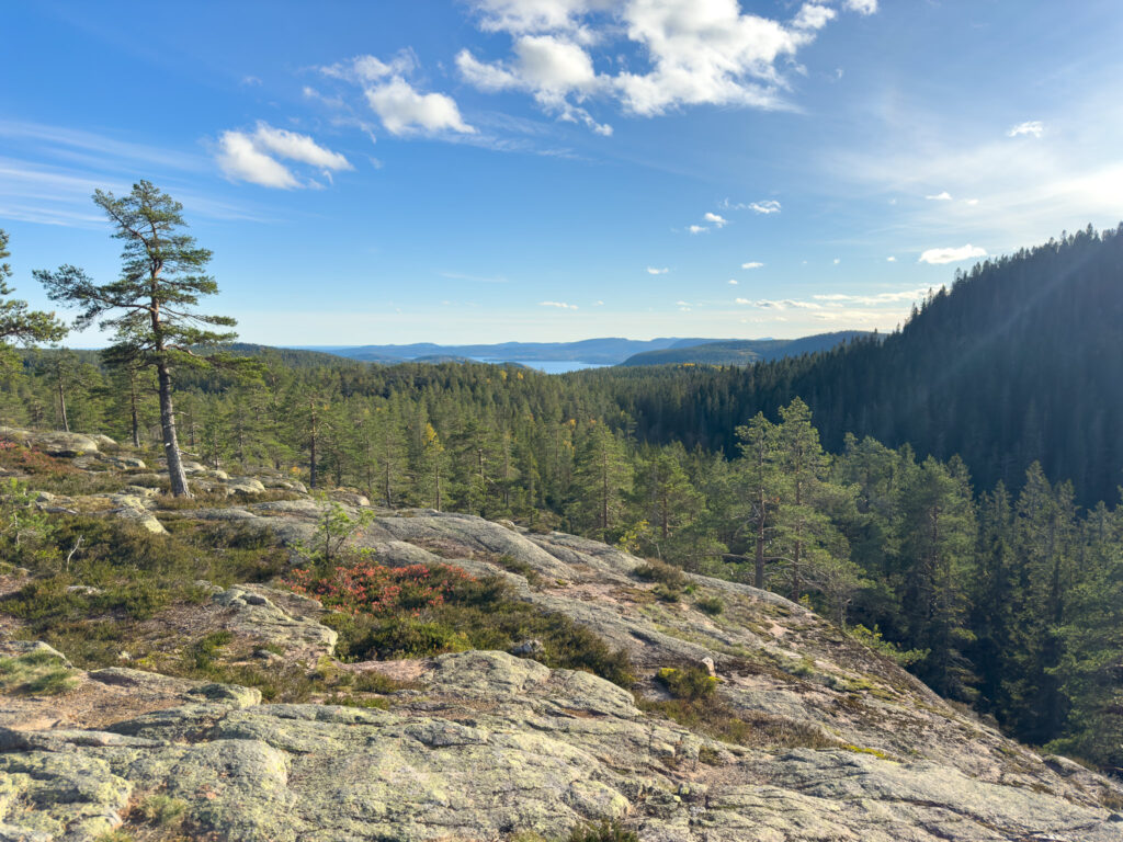 Längtjärnshållorna