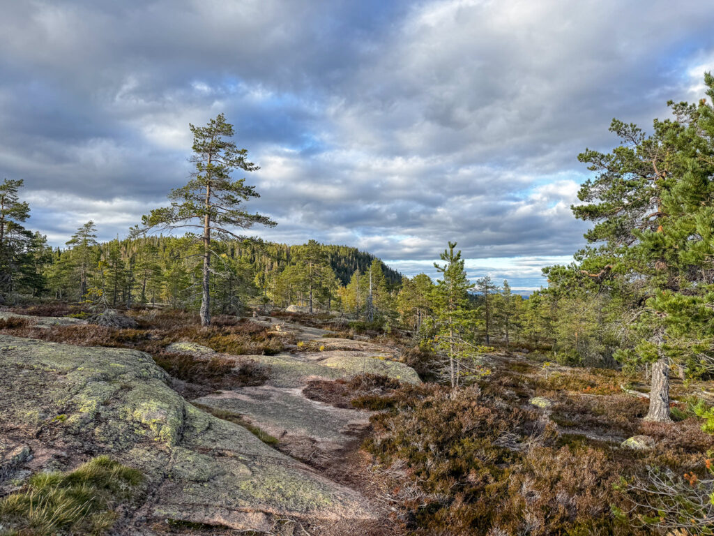 Längtjärnshållorna