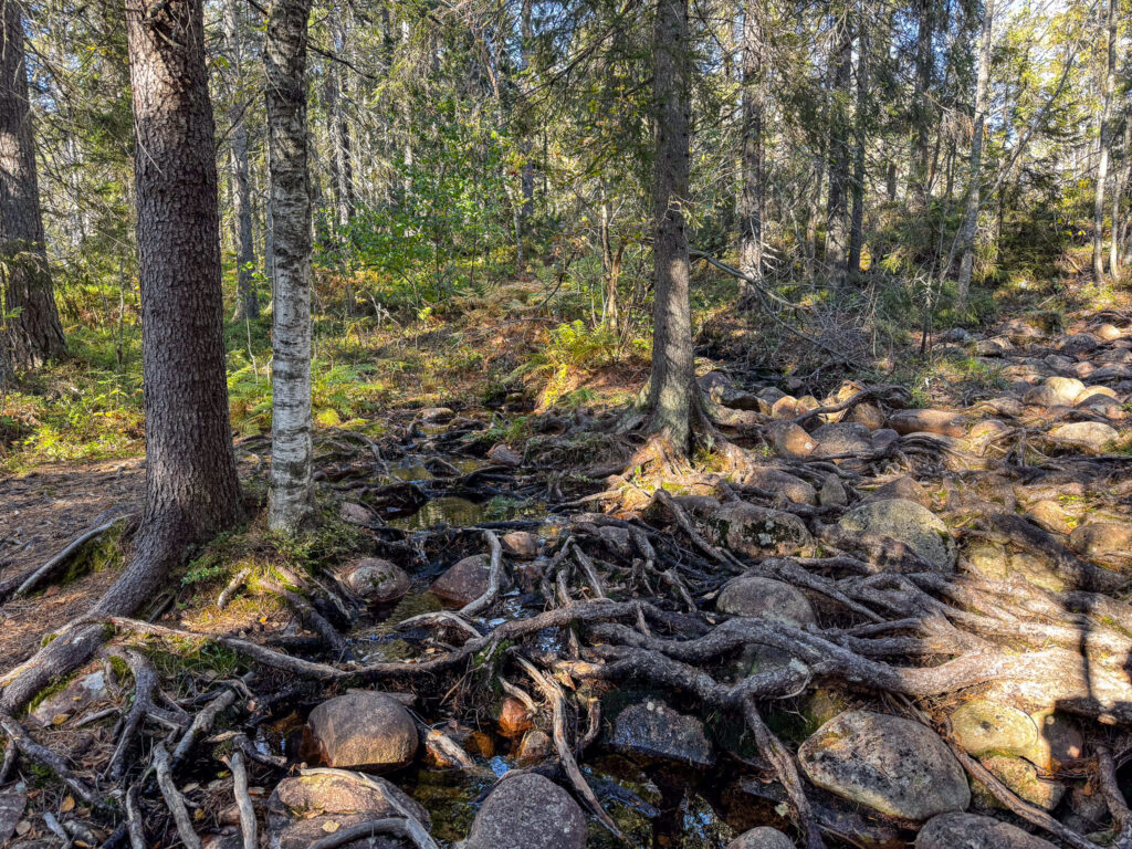 Schwedens Wanderwege