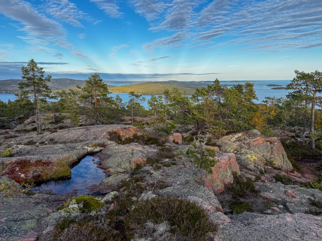 Näskebodarna