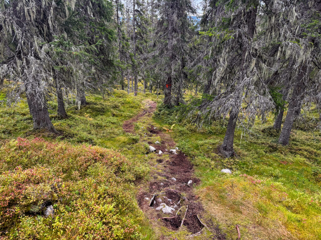 Ryvålsrundan