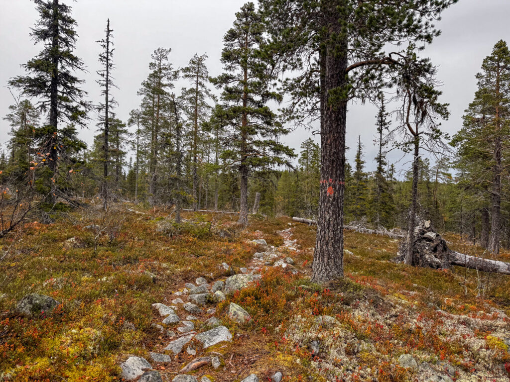 Ryvålsrundan