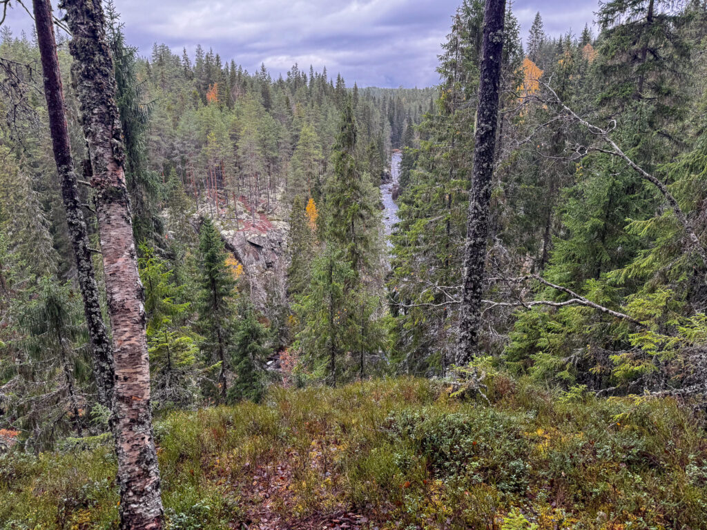 Fämtleden