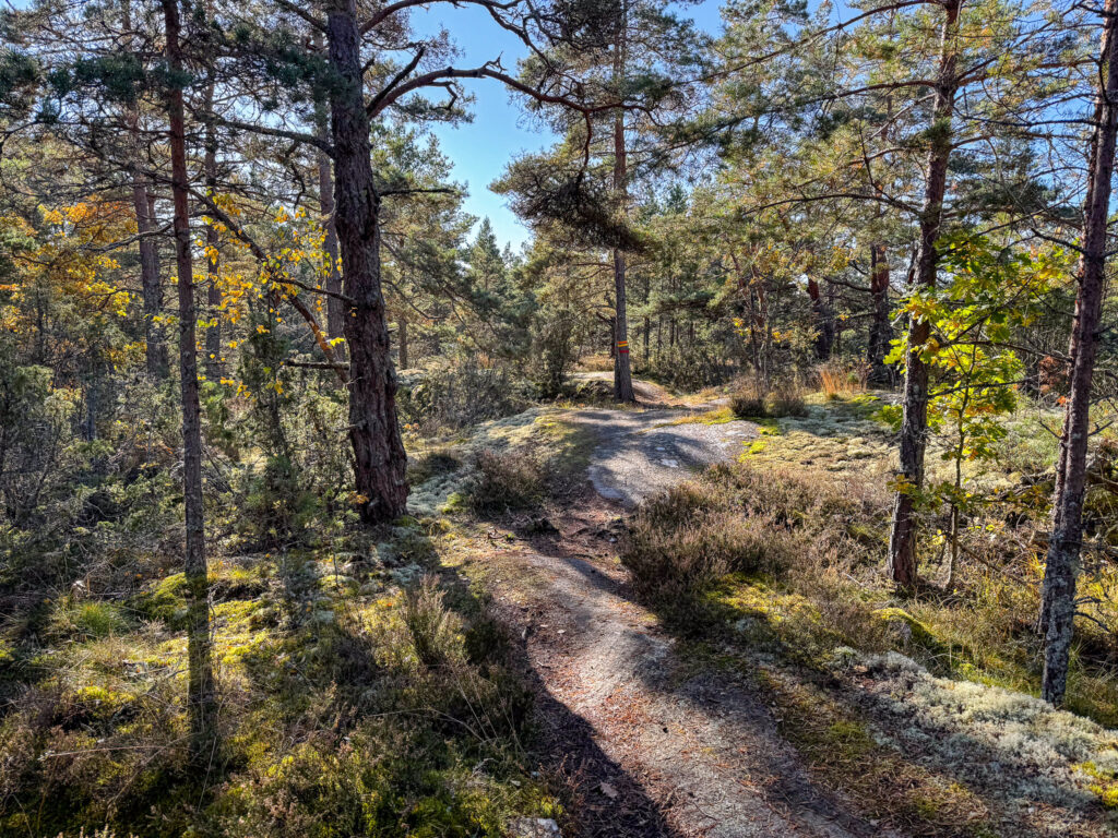 Nötön Runde