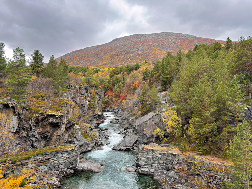Herbst entlang des Fjellgardsvegen (Fv6142)