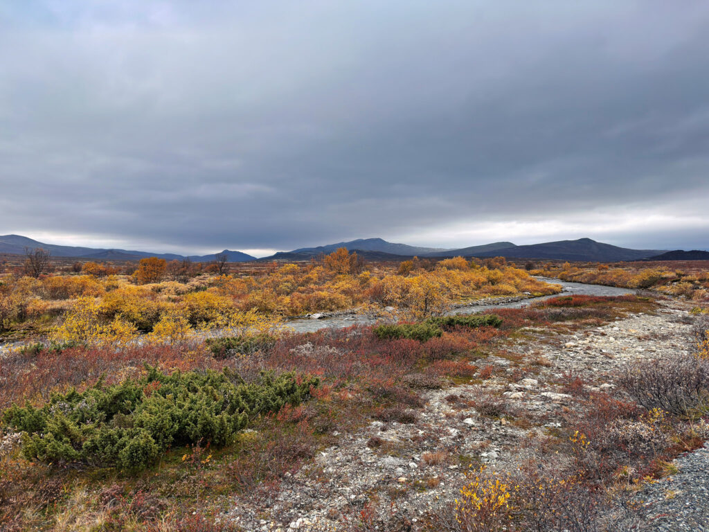 Snøheimvegen - Dovre-Plateau