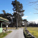 Vølstadskogen cabins and camping