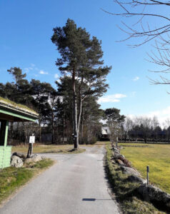 Vølstadskogen cabins and camping