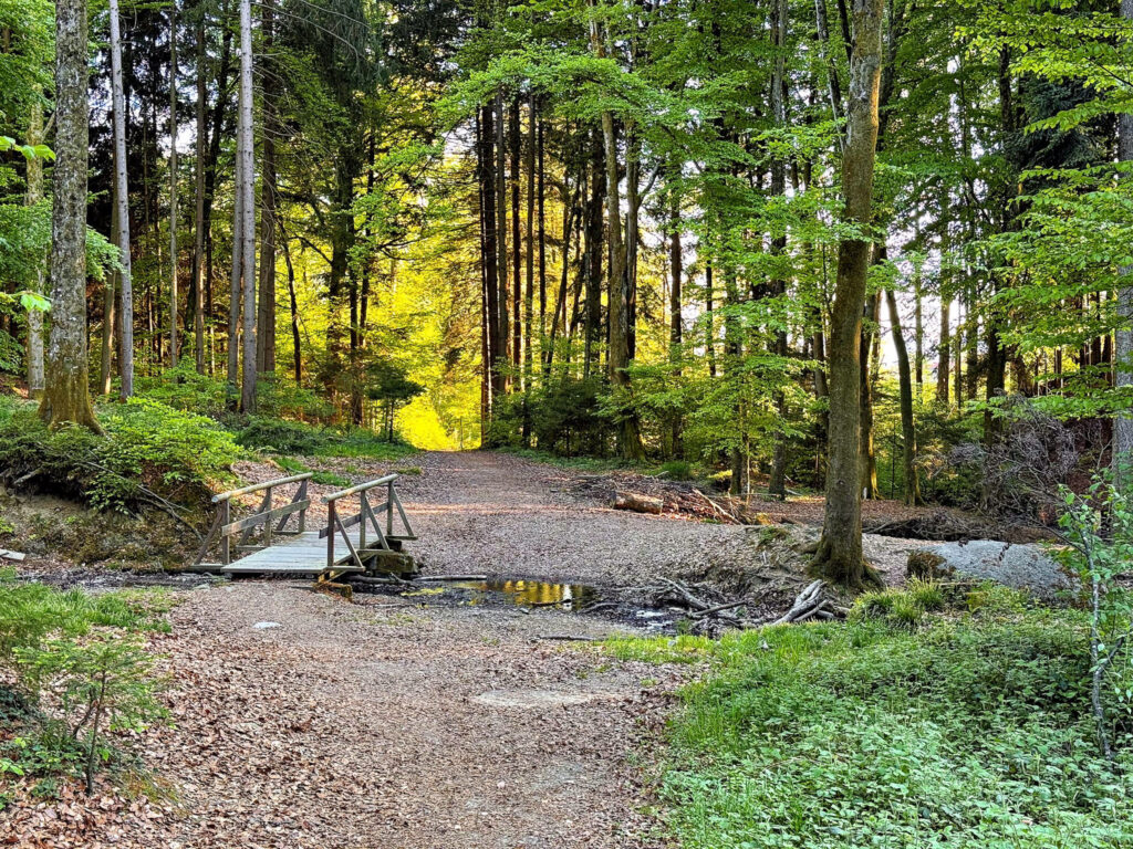 Spaziergang am Abend