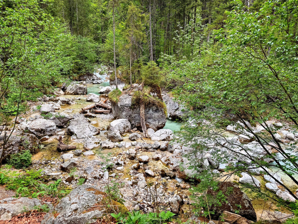 Im Zauberwald