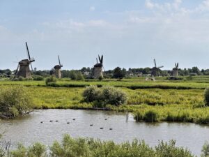 Kinderdijk